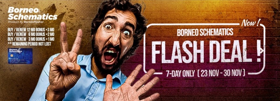 FLASH DEAL BORNEO SCHEMATICS !